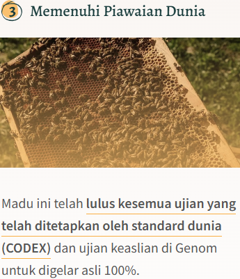 Screenshot-2025-02-04-094242.png