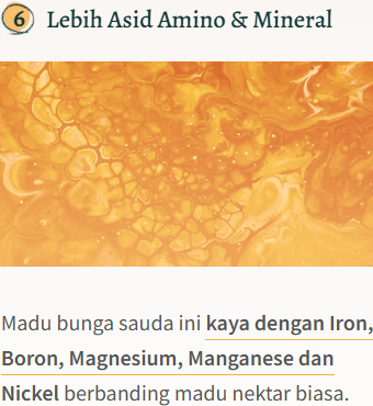 Screenshot-2025-02-04-094446.png